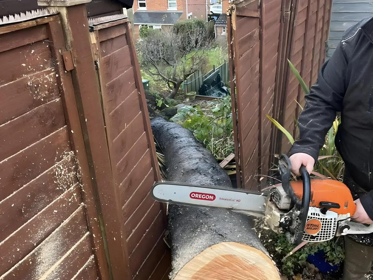 Chainsaw resting on a freshly cut log section beside a fence after a felling