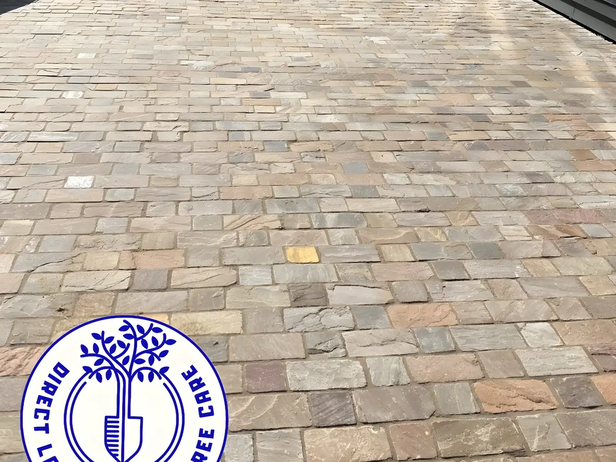 Driveway laid in tumbled block paving setts running up to a house