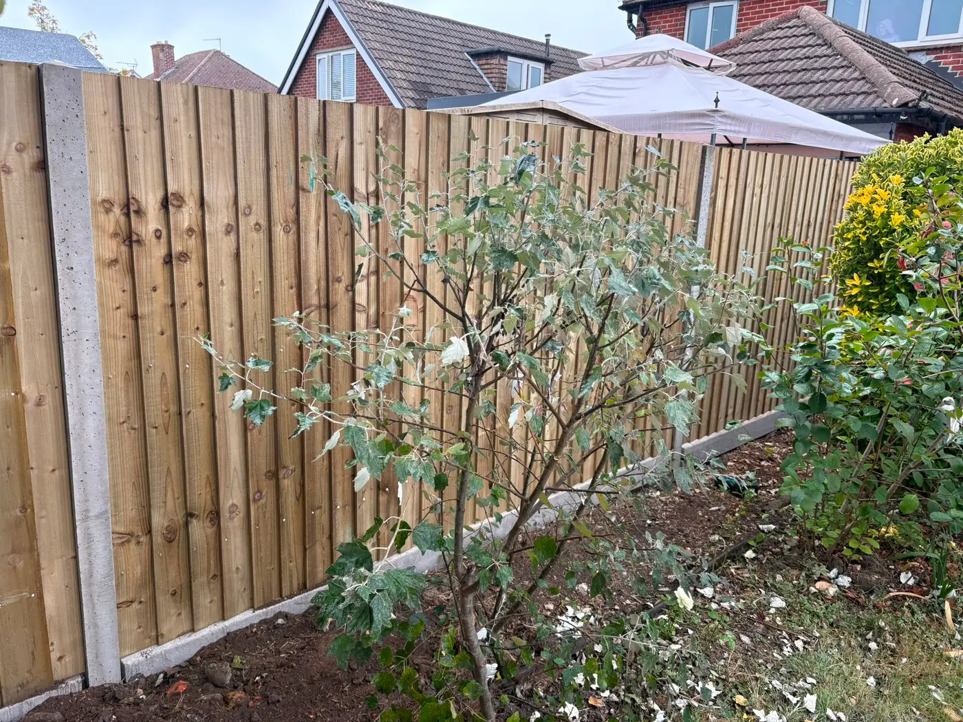 New closeboard fence with concrete posts and gravel boards behind a planted border