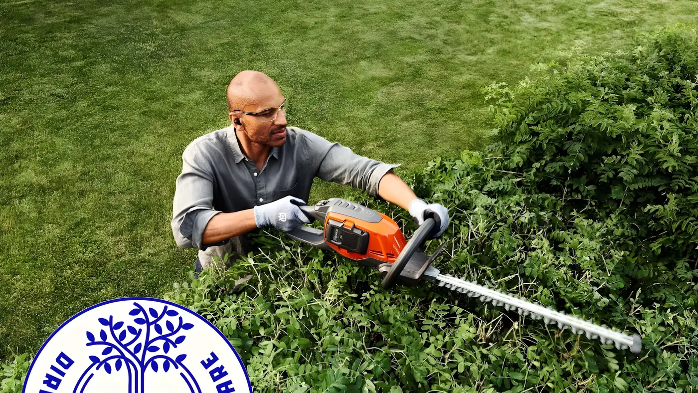 One of the team cutting back an overgrown hedge with a petrol hedge trimmer
