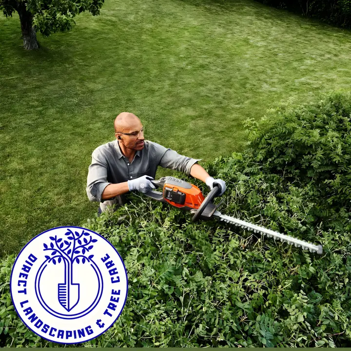One of the team cutting back an overgrown hedge with a petrol hedge trimmer